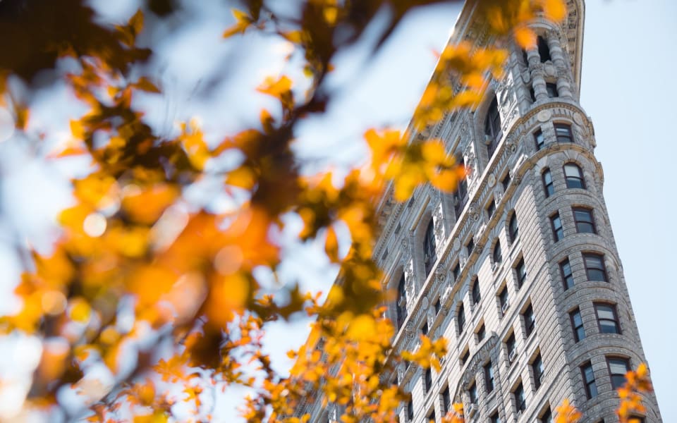 A classic New York City landmark framed by golden autumn leaves.